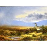ALASTAIR PROUD (b.1954) Curlew on Moorland Watercolour Signed lower right, gallery label verso