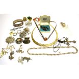 COLLECTION OF COSTUME JEWELLERY No condition report available