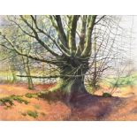 PETER BARRETT (BRITISH, B.1935) 'The Fallen Branch' Watercolour Signed lower left 39cm x 50cm