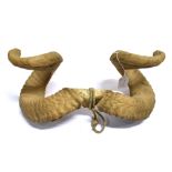 A PAIR OF CURLED RAM'S HORNS part skull mount, width 44cm
