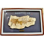 [PALAEONTOLOGY INTEREST]. A FOSSILIZED STURGEON Jurassic period, from Liaoxi, China, approximately