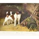 AFTER ARTHUR WARDLE (1913) - Fox Terriers - 'Wait and See', 'Champion d'Orsay's Donnis' and '