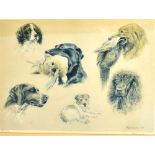 'Every Aspect' - montage of spaniels, limited edition colour print, No 304/850, signed in pencil