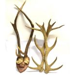 A MOUNTED PAIR OF ANTLERS together with another pair, un-mounted (4)
