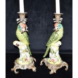 A PAIR OF DECORATIVE GILT METAL MOUNTED FIGURAL CANDLESTICKS modelled as parrots, 36cm high