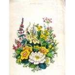 [NATURAL HISTORY]. GARDENING The Flower Garden: containing Directions for the Cultivation of all