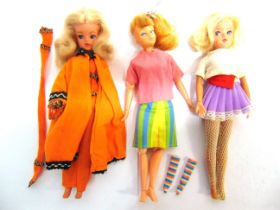 A SINDY COLLECTION comprising two dolls; clothing and accessories, some boxed; including a camping