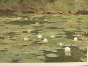 A.J. MAVROGORDATO (EARLY 20TH CENTURY) Waterlilies, watercolour and gouache, unsigned, labelled