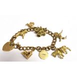 9CT GOLD CHARM BRACELET 18cm long, solid gold curb link bracelet, links individually stamped 9.