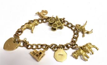 9CT GOLD CHARM BRACELET 18cm long, solid gold curb link bracelet, links individually stamped 9.