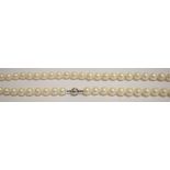 OPERA LENGTH CULTURED PEARL NECKLACE 36 inches long, 84 x 9.4-10.2mm white cultured pearls, round/