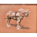 ANGELA CONNER (MRS JOHN BULMER) driving horse in harness, coloured chalks, signed and dated 2003 and