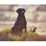 AFTER JOHN TRICKETT Study of a black labrador, limited edition colour print, No. 78/500, numbered