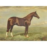 A.G.K.S. Study of a chestnut horse in a landscape, oil on canvas, signed with initials and dated