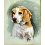 CLAIRE A. VERITY (20TH CENTURY) head and shoulders study of a Beagle, pastel, signed and titled with