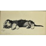 AFTER CECIL ALDIN a sleeping Terrier, black and white print, signed in pencil lower left, 30 x 55cm