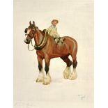 AFTER CECIL ALDIN A heavy horse with a plough boy sat astride, colour print, published Lawrence &