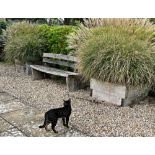 TWO LARGE PLANTERS AND PLANTS