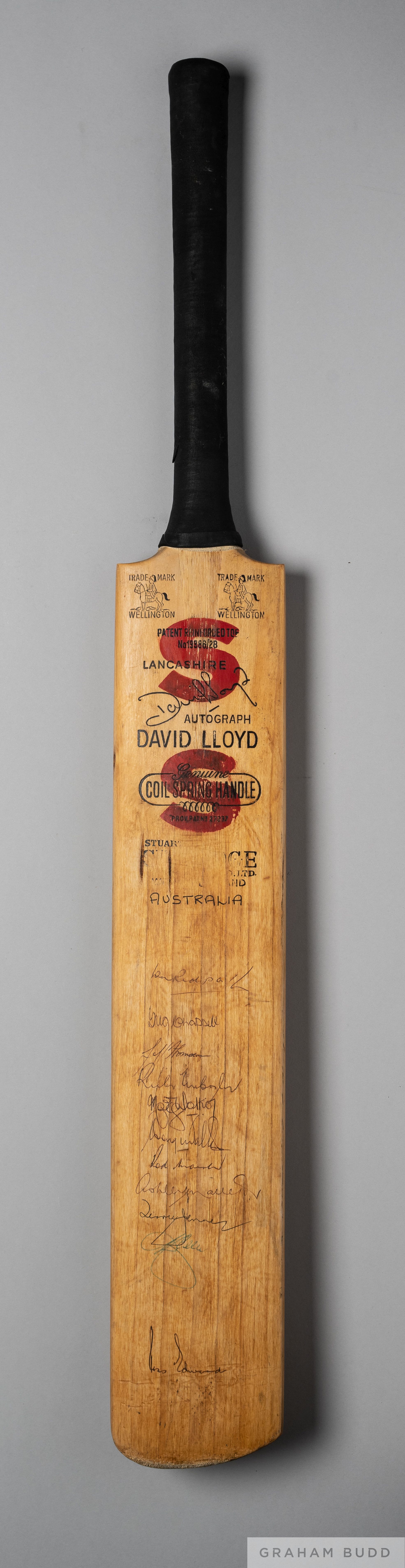 David Lloyd Autograph David Lloyd match used cricket bat