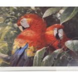 John Seerey-Lester 'Scarlet Macaw Pair' 1995