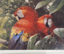 John Seerey-Lester 'Scarlet Macaw Pair' 1995