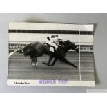 Official Photo Finish print of Nimbus and Charlie Elliott beating Abernant and Sir Gordon Richards