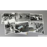 12 racehorse photographs, subjects including Teleprompter, Boldboy, Operatic Society, Knockroe, Le