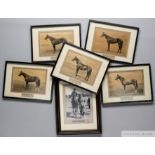 A group of five portrait photographs of 1930s English racehorses, published as supplements to the