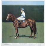 Bob Champion signed Aldaniti limited edition print,