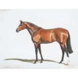 Michael Jeffery (British, 1941-2013) GALILEO AT COOLMORE 2004 signed & dated 2004, large watercolour
