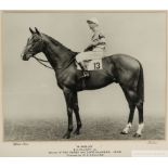 A b&w photograph of the 1949 2,000 Guineas and Derby winner Nimbus with Charlie Elliott up, by Miles