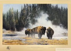 David Shepherd CBE FRSA FGRA 'The hot springs of Yellowstone', 1992
