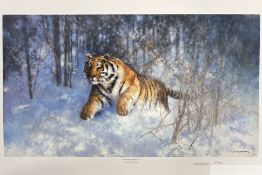 David Shepherd CBE FRSA FGRA 'Tiger in the snow', 2005