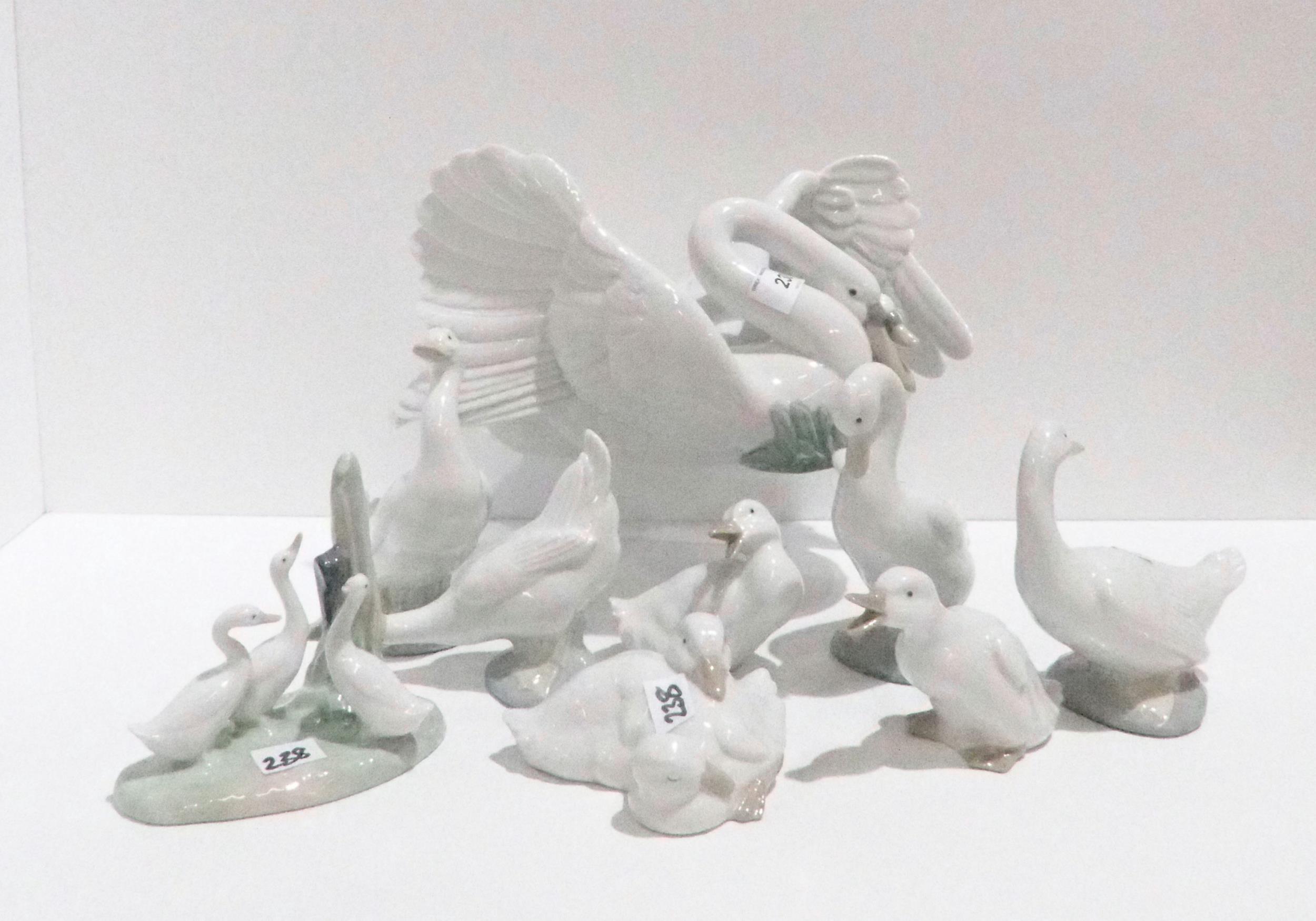 A large Nao figure of a swan and cygnet, together with Nao ducks and geese Condition Report: