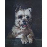 20TH CENTURY SCHOOL Terrier portrait, oil on board, 18 x 14cm Available upon request