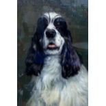 HENRY S QUARRIE Black and white cocker spaniel portrait head, signed, oil on board, 87 x 57cm