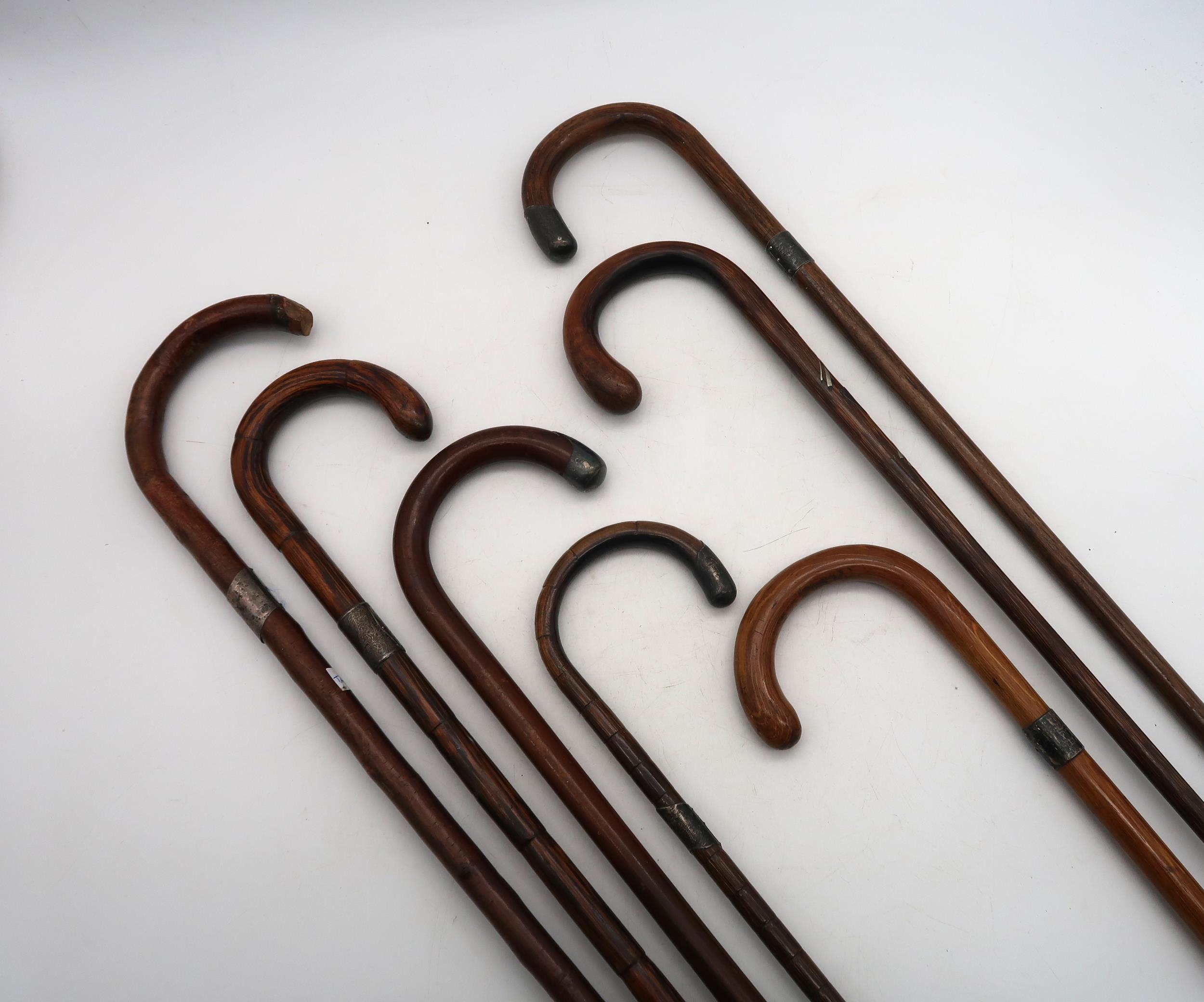Seven various silver/white metal-mounted curved-handled walking sticks, to include two bamboo