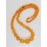 A string of amber coloured beads, light crazing and concoidial fractures throughout, largest bead