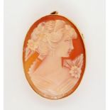 A 9ct gold shell cameo pendant brooch, dimensions 3.5cm x 2.6cm, weight 5.8gms Condition Report: