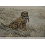 HENRY WILKINSON (BRITISH 1912-2011) RETRIEVER WITH A DUCK Etching in colours, signed lower right,