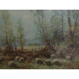 TOM CAMPBELL (SCOTTISH) EARLY SUMMER LANDSCAPE Oil on board, signed lower left, 24x 32cm Condition