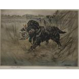 HENRY WILKINSON (BRITISH 1912-2011) RETRIEVER Etching in colours, signed lower right, 35/150, 25 x