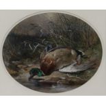 JAMES HARDY JNR The Mallard, signed, gouache, dated, 1863, 34 x 41cm Condition Report:Available upon