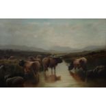 W.P.HOLLYER Highland cattle in a glen and another, signed, oil on canvas, 57 x 80cm (2) Condition