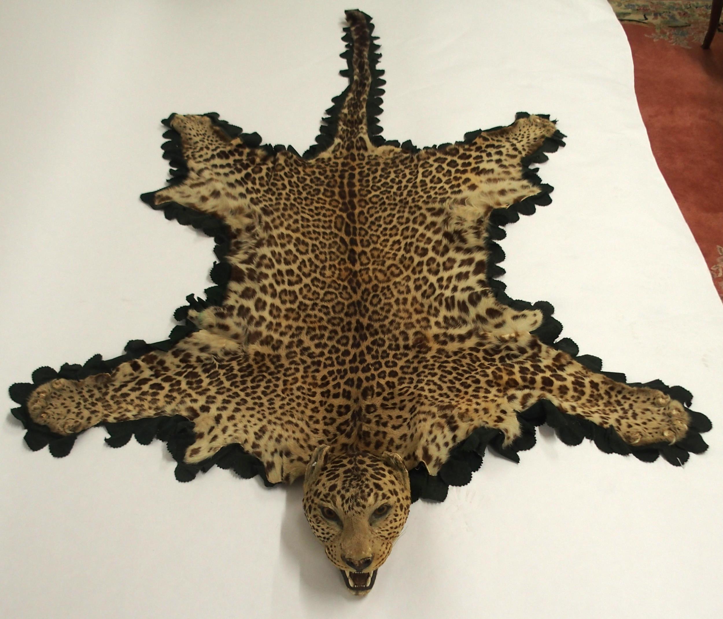 A 20TH CENTURY TAXIDERMY LEOPARD PELT RUG on green felt trimmed backing with snarling open-mouthed - Image 4 of 16