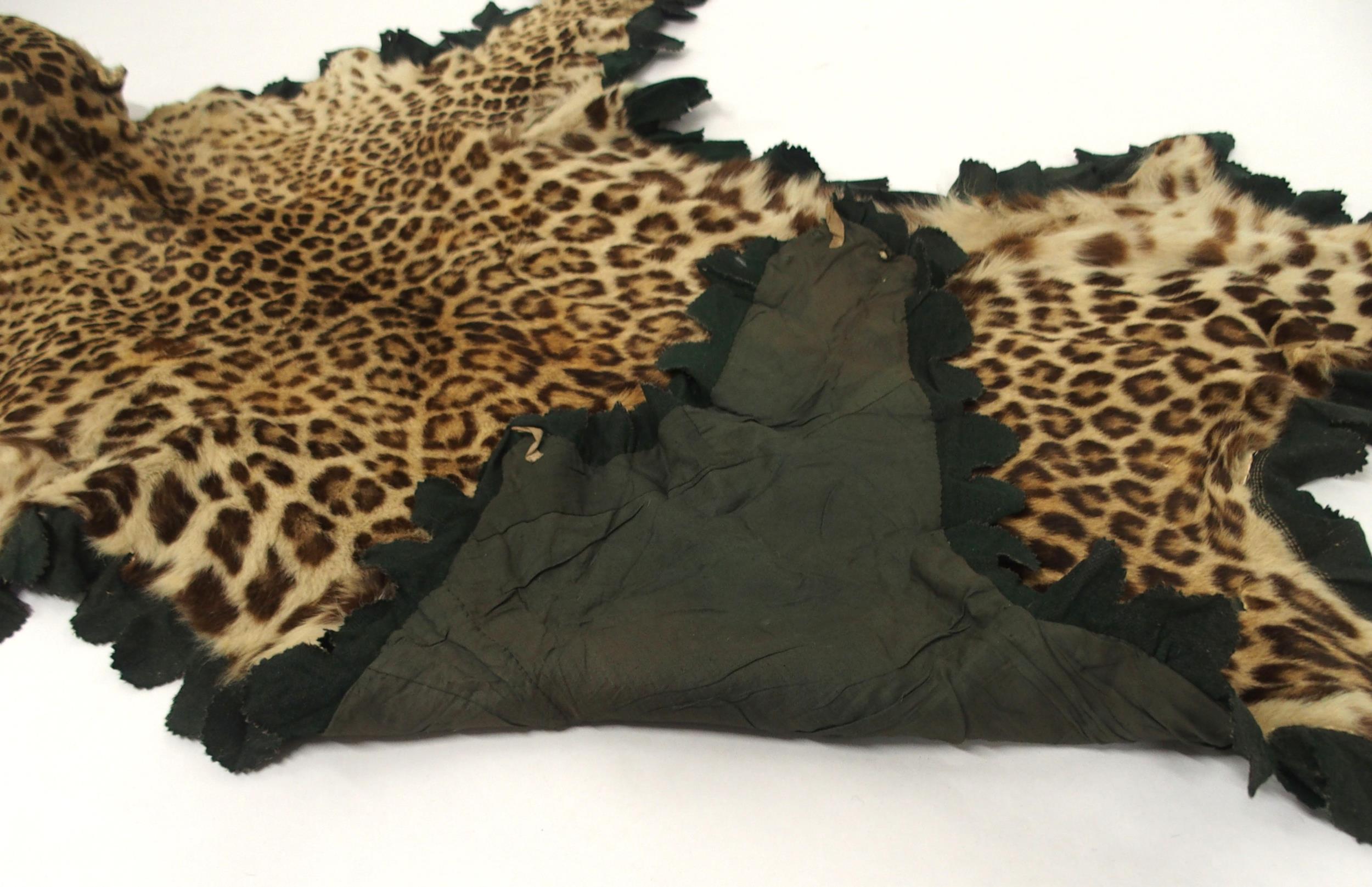 A 20TH CENTURY TAXIDERMY LEOPARD PELT RUG on green felt trimmed backing with snarling open-mouthed - Image 15 of 16