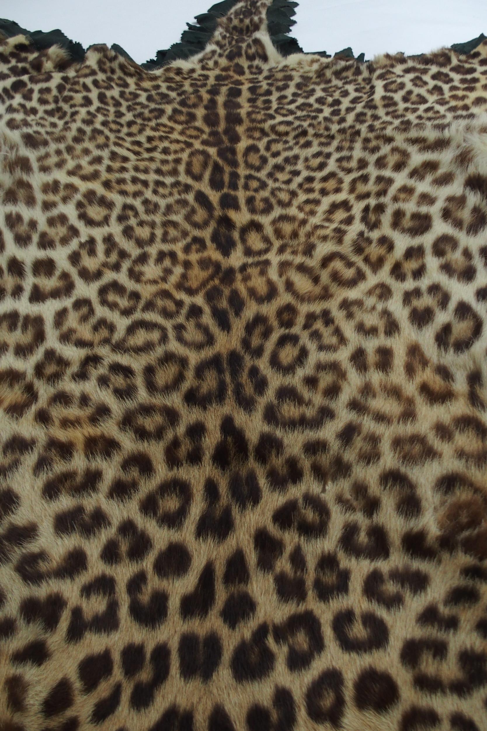 A 20TH CENTURY TAXIDERMY LEOPARD PELT RUG on green felt trimmed backing with snarling open-mouthed - Image 10 of 16