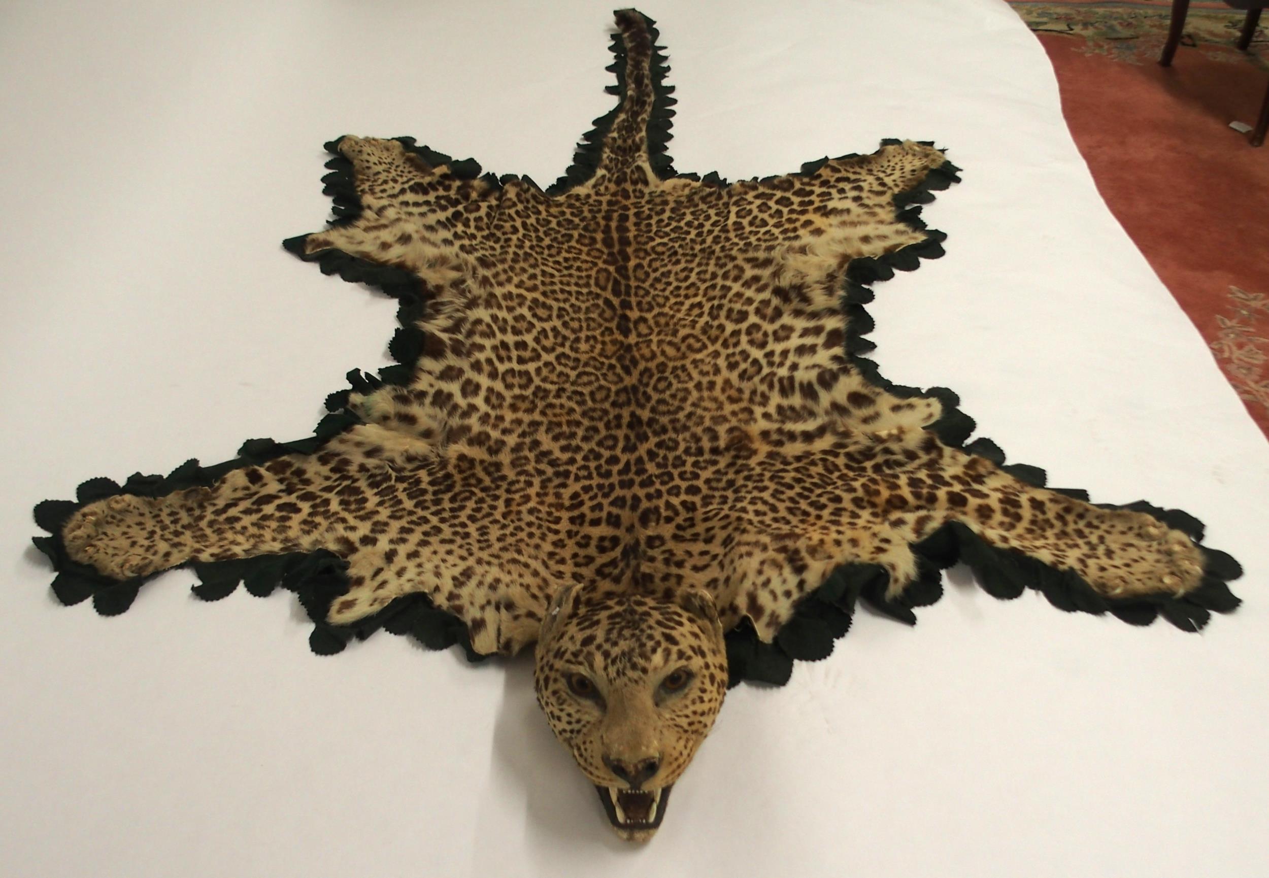 A 20TH CENTURY TAXIDERMY LEOPARD PELT RUG on green felt trimmed backing with snarling open-mouthed - Image 3 of 16