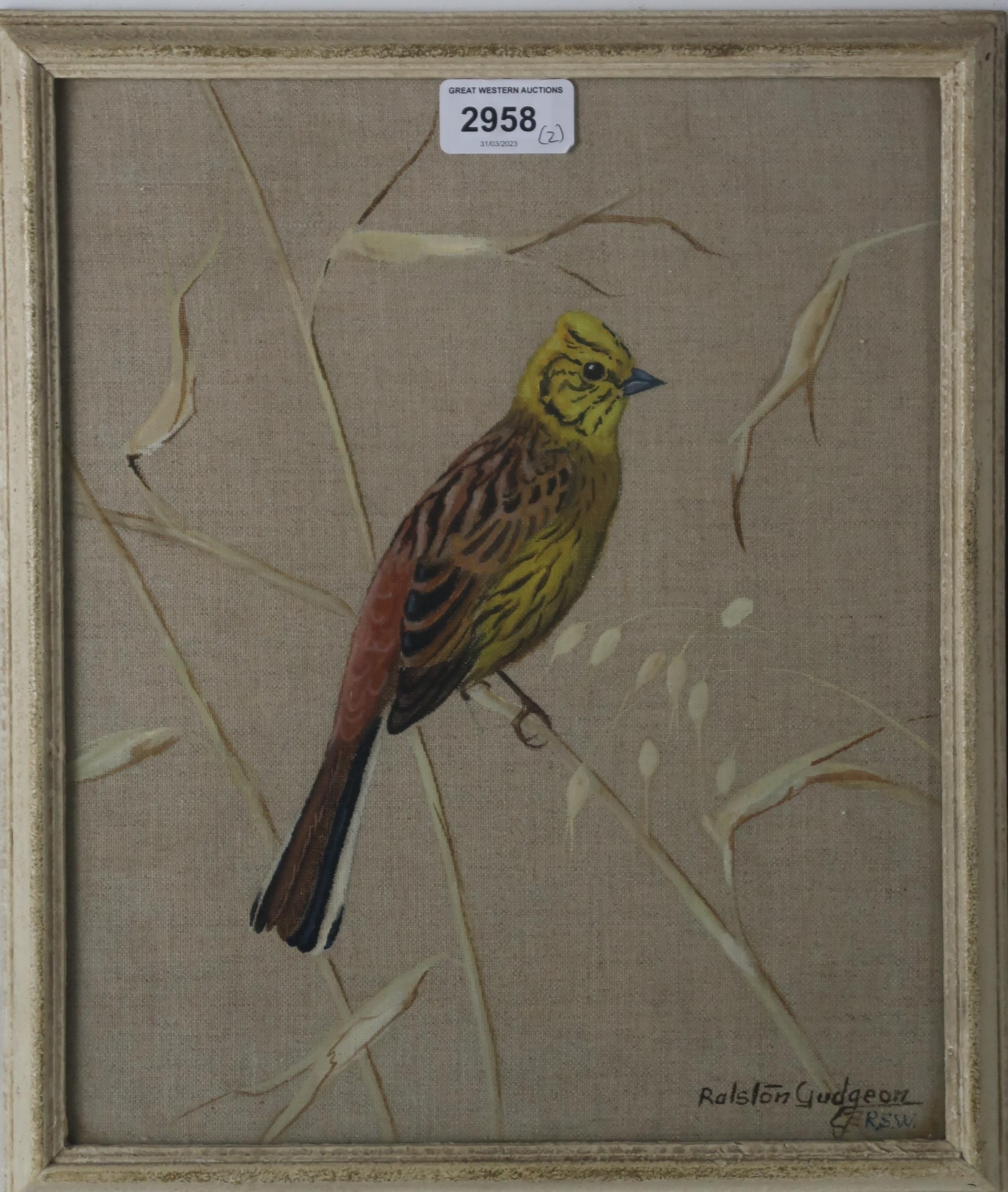 RALSTON GUDGEON (SCOTTISH 1910-1984) GOLDFINCHES Gouache on linen, signed lower right, 29.5 x - Image 2 of 4