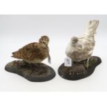 TAXIDERMY A ptarmigan, woodcock and mallard duck, each modelled on a naturalistic base (3) Condition